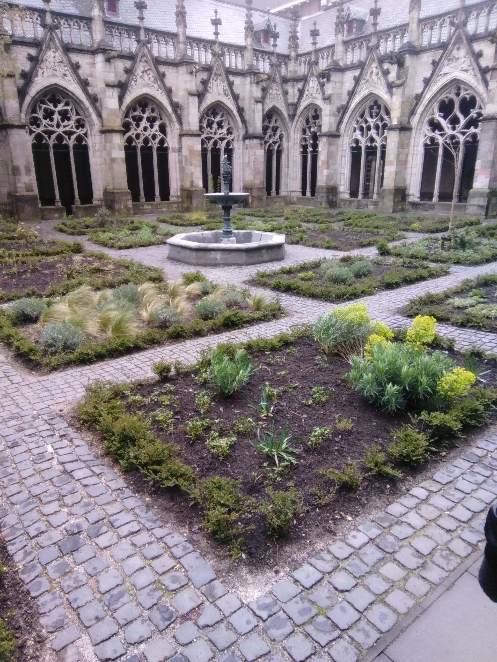 A picture of the interior herb garden of the Dom church, Utrecht, from our recent holiday.