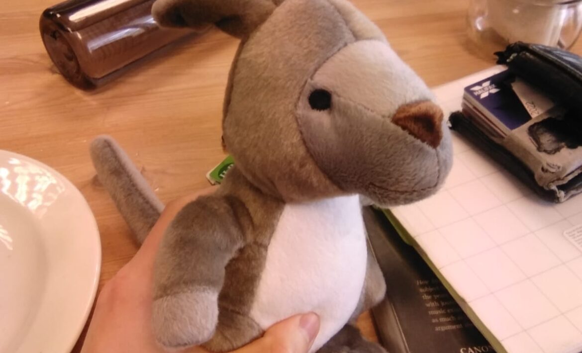 An image of a grey pluche kangaroo, being held by Jorik in a café next to Fosse Way School. His name is Kevin (of course it is).